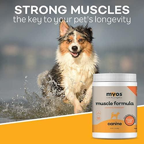 MYOS Formule musculaire canine Supplément pour chiens