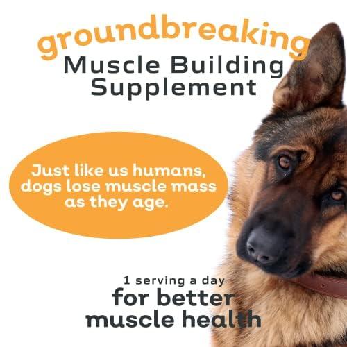 MYOS Formule musculaire canine Supplément pour chiens