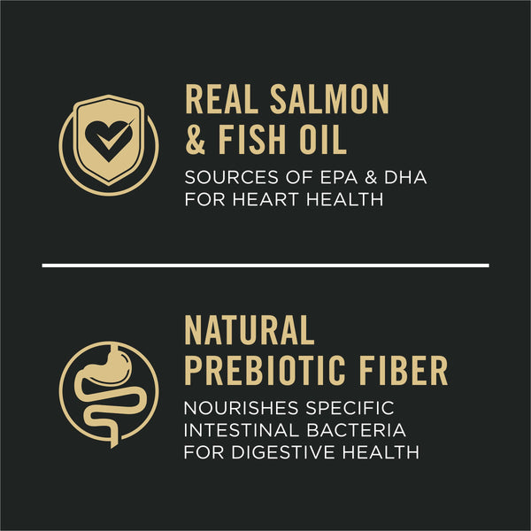 Purina Pro Plan Sensitive Skin & Stomach Salmon & Rice Puppy Dry Dog Food