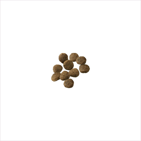Purina Pro Plan Sensitive Skin & Stomach Salmon & Rice Puppy Dry Dog Food