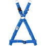RC Pets Primary Step-In Dog Harness, Royal Blue