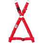 RC Pets Primary Step In Dog Harness, Red