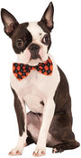 Rubie's Pet Shop Boutique Argyle Bow Tie