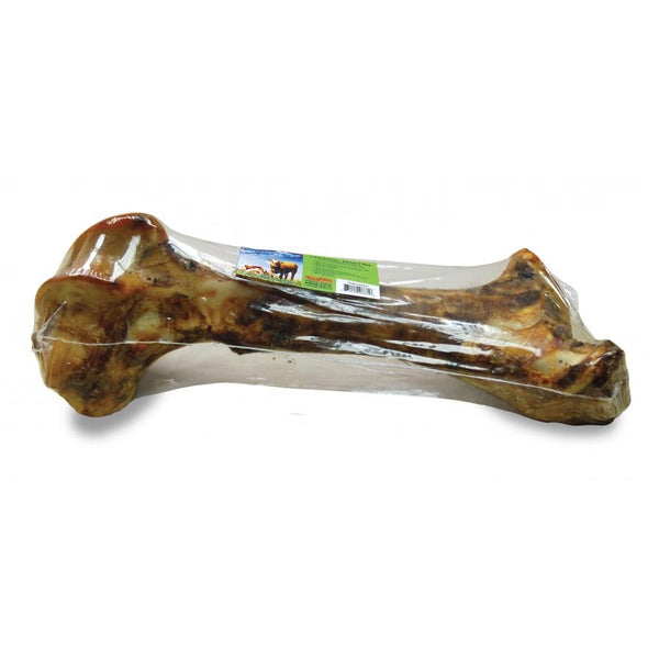 Bullsters Friandises pour chiens Fémur de T Rex en boeuf