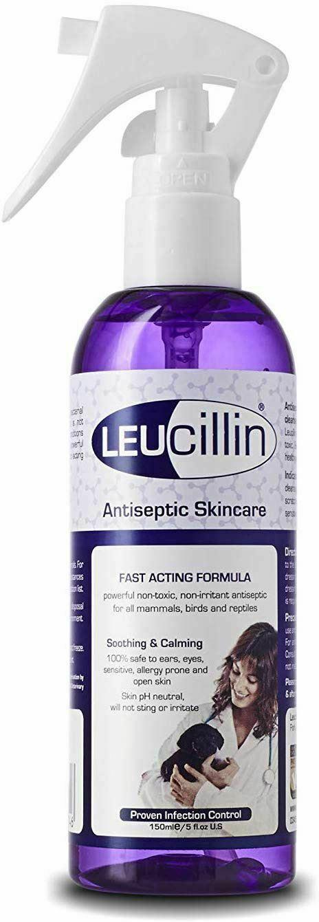 Leucillin Spray antiseptique pour la peau des animaux de compagnie