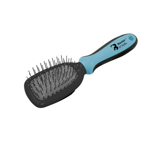 Baxter & Bella Pin Brosse pour chien