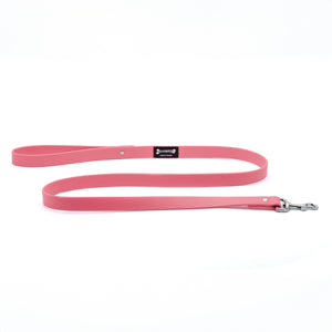 Smoochy Poochy Polyvinyl Waterproof Regular Style Dog Leash, Hot Pink, 1-in x 5-ft