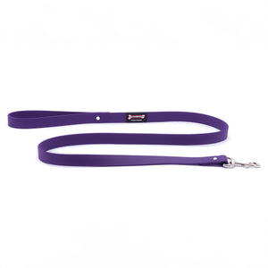 Smoochy Poochy Polyvinyl Waterproof Regular Style Dog Leash, Purple, 1-in x 5-ft