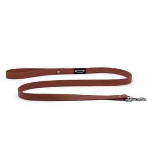 Smoochy Poochy Polyvinyl Waterproof Regular Style Dog Leash, Red, 1-in x 5-ft