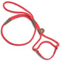 Mendota Pet Small Martingale Slip Walker Dog Collar & Leash, Red