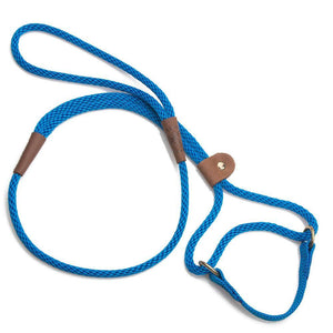 Mendota Pet Small Martingale Slip Walker Dog Collar & Leash, Blue