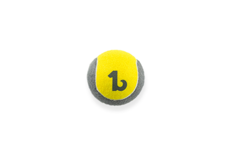 BeOneBreed Sturdy Breed Ball Dog Toy