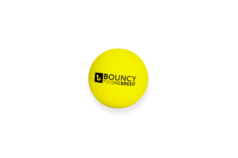 BeOneBreed Balle rebondissante Jouet pour chien