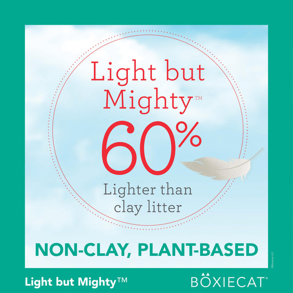 Boxiecat Air Litière premium légère pour chats, agglomérante, légèrement parfumée