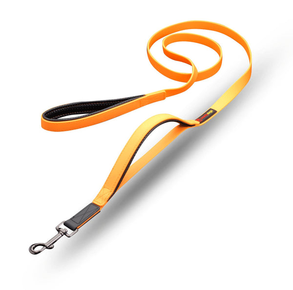 smellydogz Double Handle Dog Leash, Orange