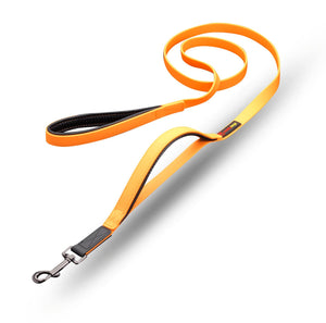smellydogz Double Handle Dog Leash, Orange