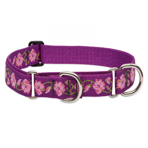 Lupine Pet Original Designs Martingale Dog Collar, Rose Garden