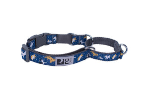 RC Pets Easy Clip Web Training Dog Collar, Space Dogs