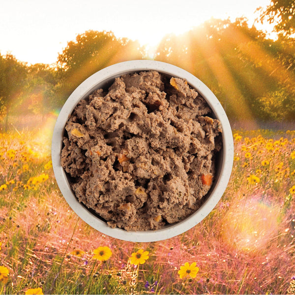 ACANA Premium Pate Puppy Recipe in Bone Broth Wet Dog Food