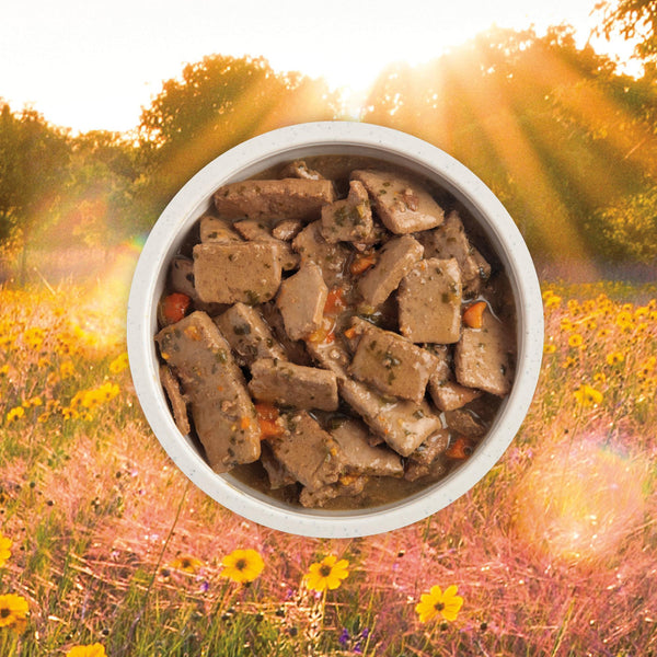 ACANA Premium Chunks Beef Recipe in Bone Broth Wet Dog Food