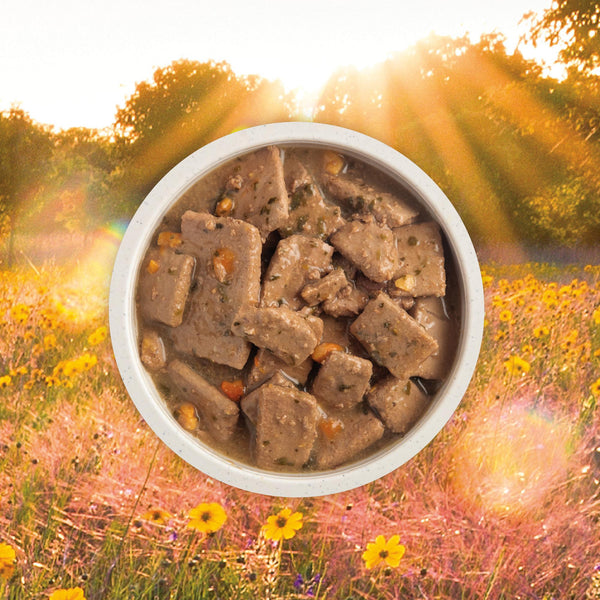 ACANA Premium Chunks Poultry Recipe in Bone Broth Wet Dog Food