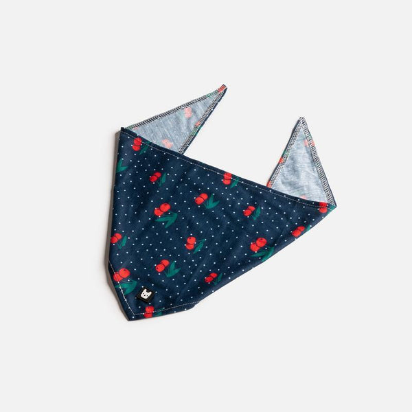 Silver Paw Bandana pour chien Cheerful