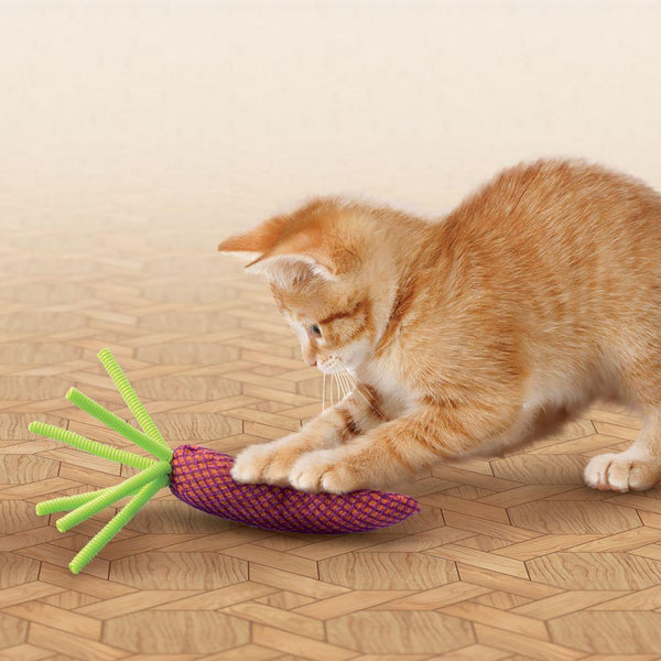 KONG Nibble Carrot Jouet pour chat, assorti