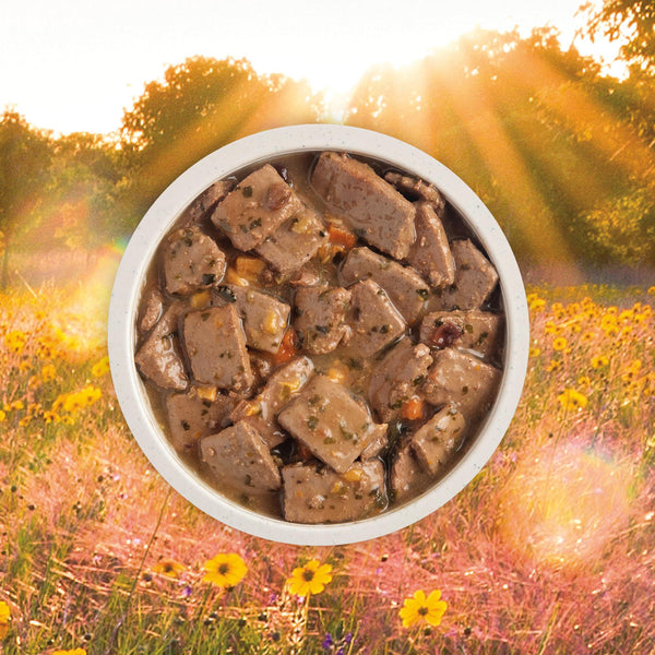 ACANA Premium Chunks Pork Recipe in Bone Broth Wet Dog Food