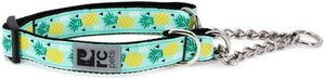 RC Pets Training Dog Collar, Pineapple Parade