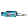RC Pets Training Dog Collar, Tropical Paisley