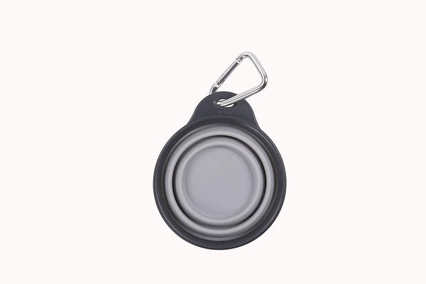 Dexas Collapsible Travel Pet Cup, Light Gray