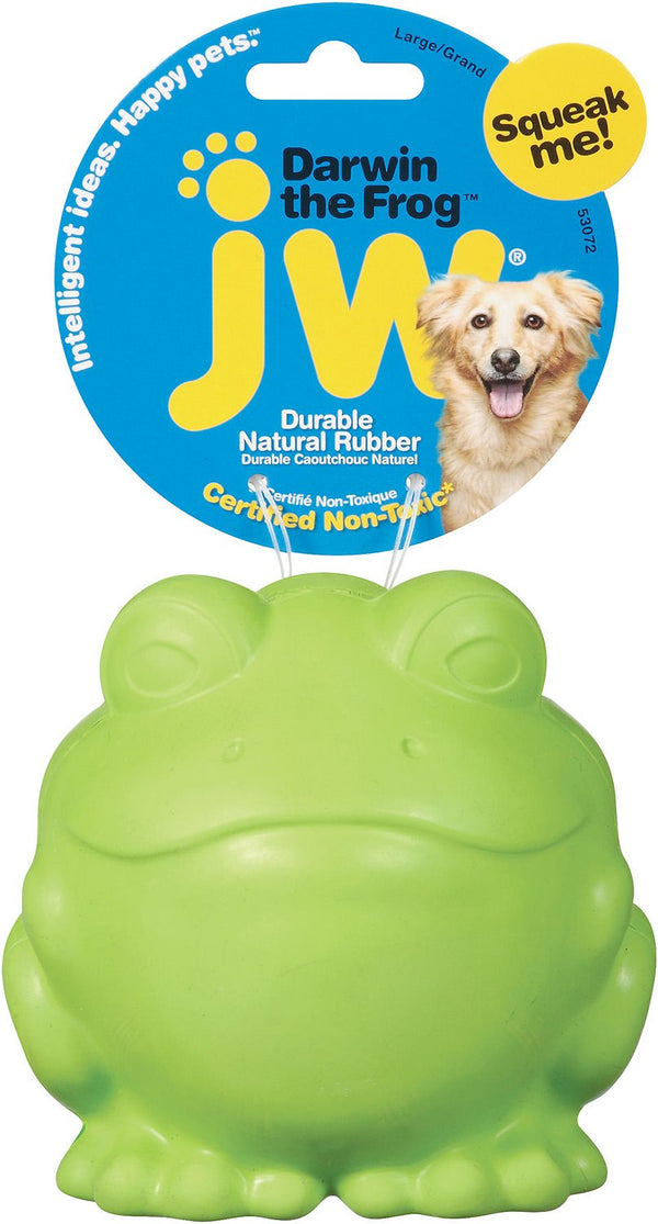 JW Pet Darwin la Grenouille Jouet pour chien qui couine, couleur variable