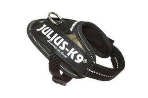 Julius-K9 IDC Powerharness Dog Harness, Camouflage