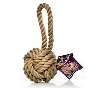 Multipet Nuts for Knots with Tug Rope Dog Toy, Color Varies