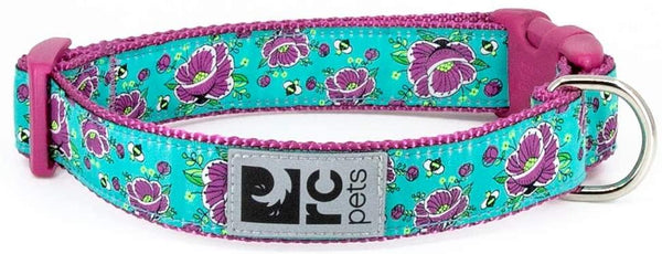 RC Pets Clip Dog Collar, All The Buzz