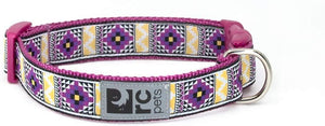 RC Pets Clip Dog Collar, Casablanca