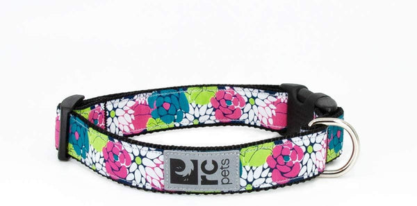 RC Pets Clip Dog Collar, Full Bloom