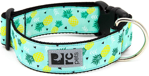 RC Pets Wide Clip Dog Collar, Pineapple