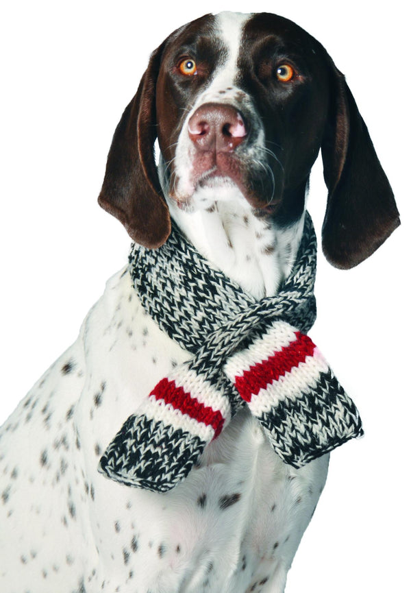 Chilly Dog Boyfriend Dog Scarf