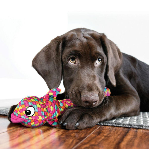 KONG Wubba Finz Dog Toy, Pink