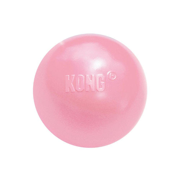 KONG Puppy Ball with Hole Dog Toy