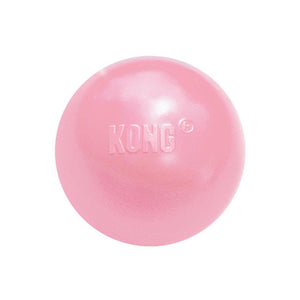 KONG Puppy Ball with Hole Dog Toy