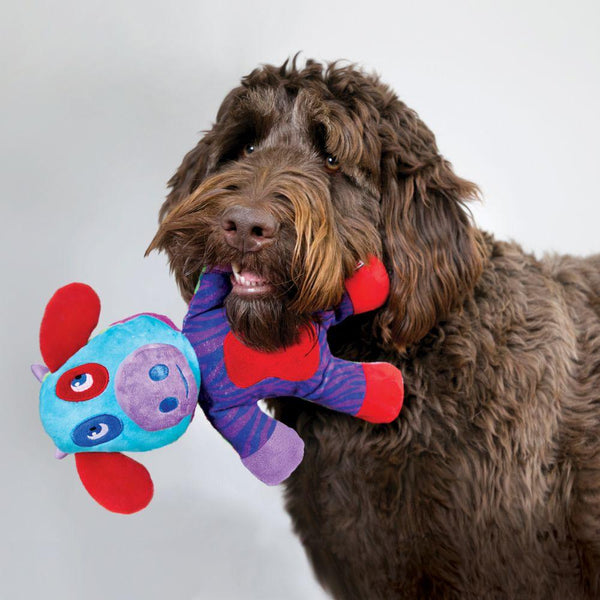 KONG Switcheroos Jouet pour chien, assorti
