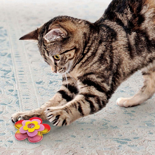 KONG Crackles Bloomz Jouet pour chat