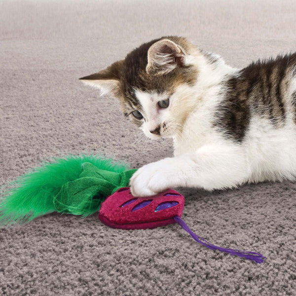 KONG Crackles Rootz jouet pour chat, assorti