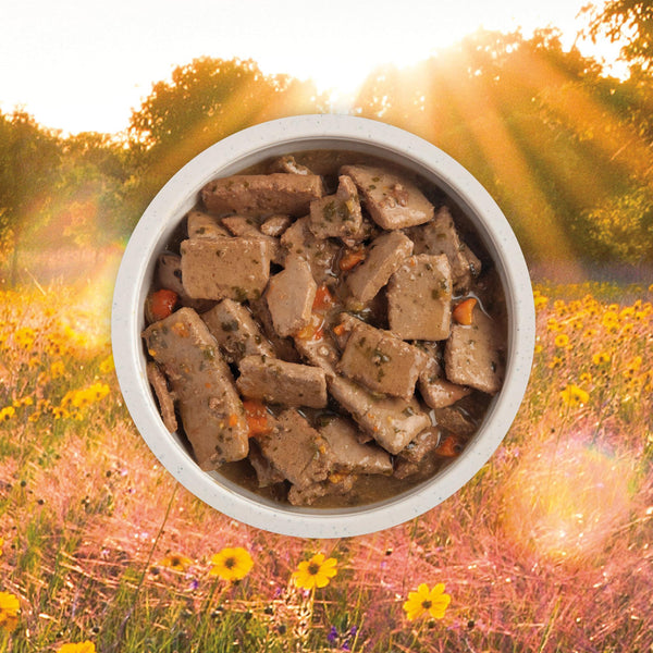 ACANA Premium Chunks Lamb Recipe in Bone Broth Wet Dog Food