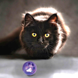 Ethical Pet Kitty LED Balls Cat Toy