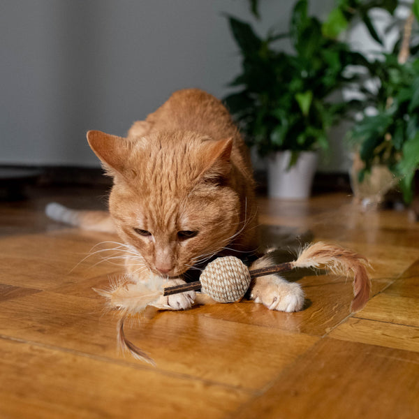 Ethical Pet Silver Vine Cord/Stick Cat Toy, Assorted