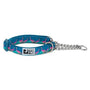 RC Pets Training Dog Collar, Flamingo