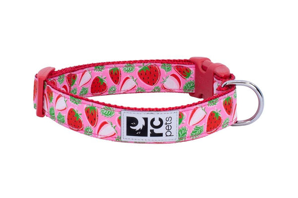 RC Pets Clip Dog Collar, Strawberries